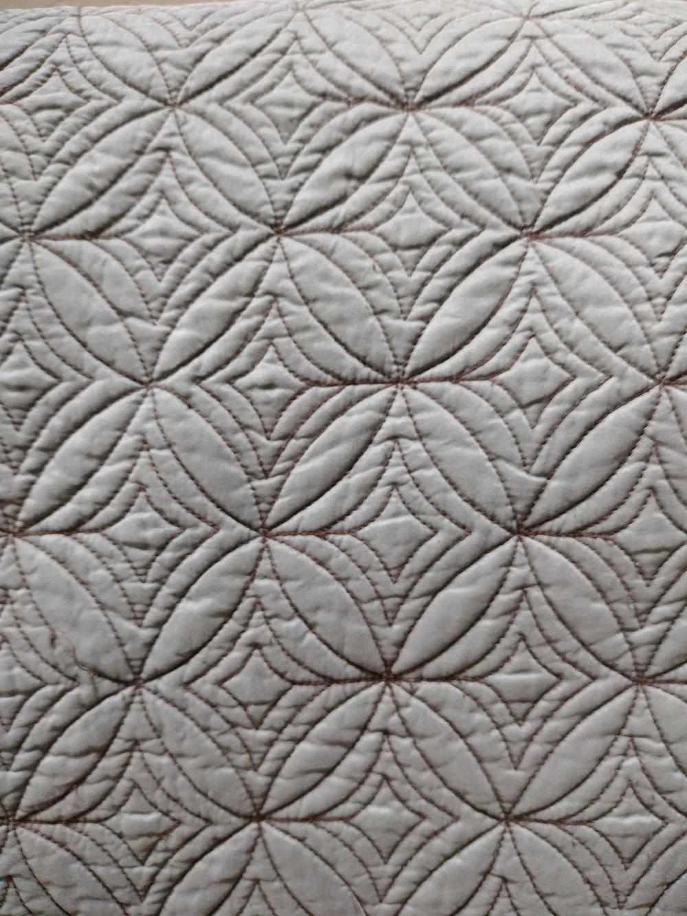 Restoration Hardware Silk Pillow Shams